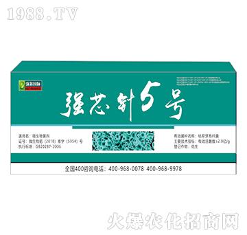 強(qiáng)芯針5號-強(qiáng)芯國際