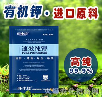速效純鉀-田小超