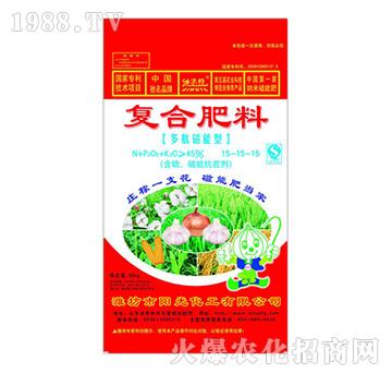 ���Ĵ����͏�(f��)�Ϸ���15