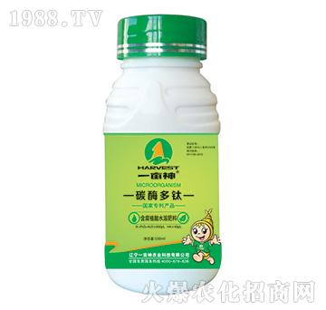 ̼ø����-һ����