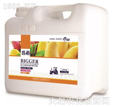 â�����ø߷��ӏ�(f��)�����ЙC(j��)����Һ�ʣ�5kg��-�̸�-�ɭ�r(n��ng)�I(y��)