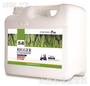 �~�ˌ��ø߷��ӏ�(f��)�����ЙC(j��)����Һ�ʣ�5kg��-�̸�-�ɭ�r(n��ng)�I(y��)