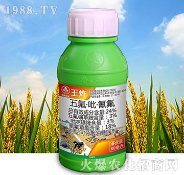 24%������������-��ը-�к����_