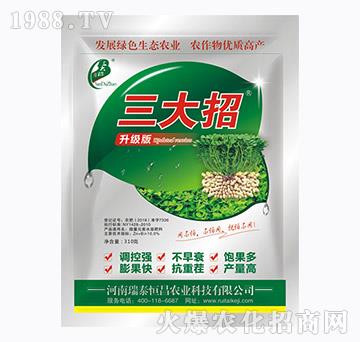 微量元素水溶肥-升級版三大招-瑞泰恒昌