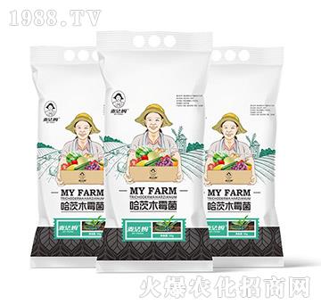 ����ľù��-��������