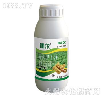 63%�����ס����-��