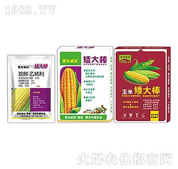 �������L�{(di��o)��(ji��)��-�����-�滯���h