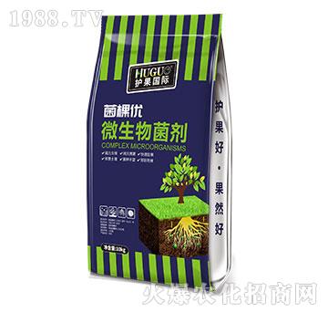 微生物菌劑-菌棵優(yōu)-護果國際