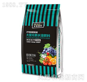 平衡型大量元素水溶肥料-護(hù)果國(guó)際