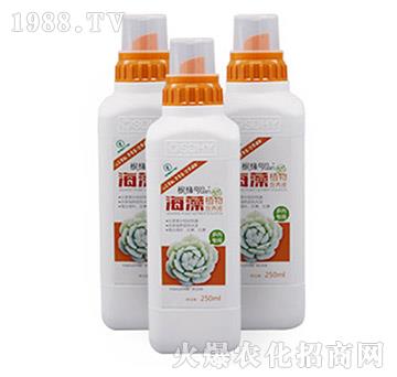 海藻植物營養(yǎng)液-多肉專用型