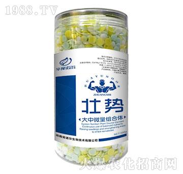 大中微量組合體-壯勢(shì)-諾爾