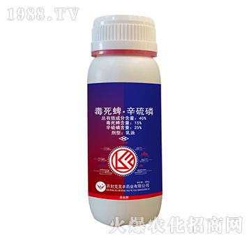 40%�����硤������-���`�S