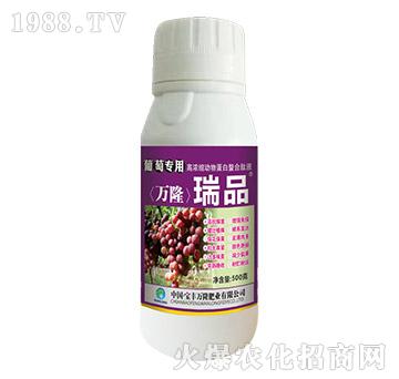 ���ь��øߝ�s���ﵰ��������Һ-��Ʒ-���S�f¡