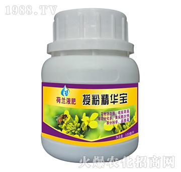 荷蘭液肥-授粉精華寶-創(chuàng)福農(nóng)
