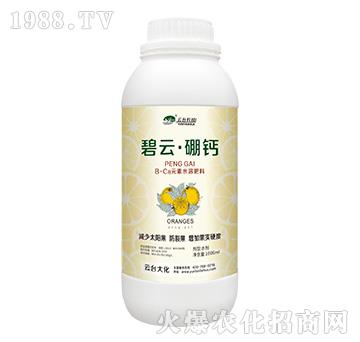 ���ơ����}-���_(t��i)��