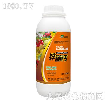 �߻���ֱ�a���\���}-���_��