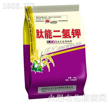 400g���ܶ����-���_(t��i)��