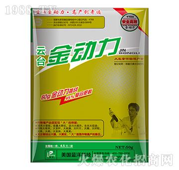 ���_������-���_��