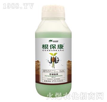 1000g������-���_��