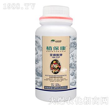 500gֲ����-���_��