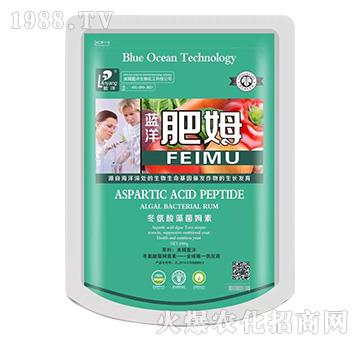 藍(lán)洋肥姆-云臺(tái)大化