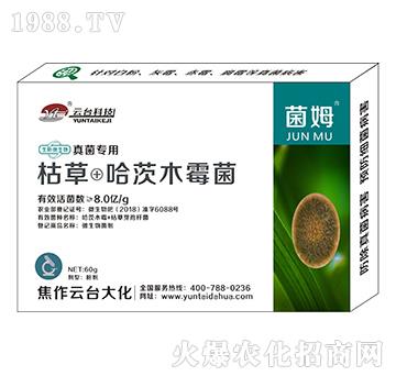 ������þ�ķ-���_(t��i)��