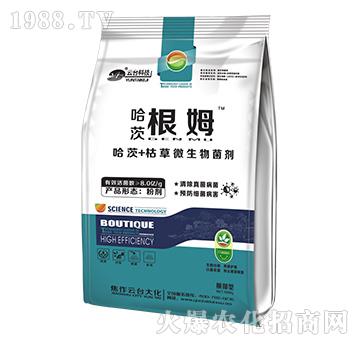 哈茨根姆-云臺(tái)大化