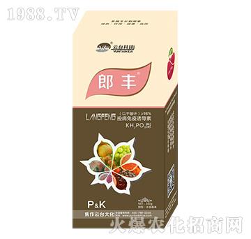 郎豐-云臺(tái)大化