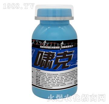 �[��-���_(t��i)��