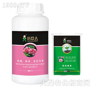 玫瑰、牡丹、菊花專用調(diào)節(jié)劑-小巨人