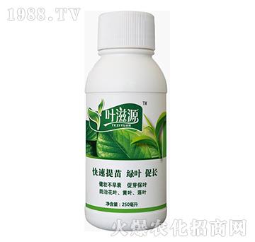 葉滋源-藍(lán)翠農(nóng)科