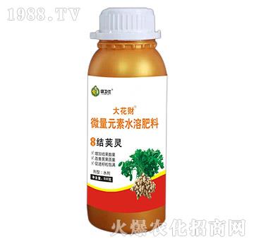 花生結莢靈-微量元素水溶肥料-綠仕生物