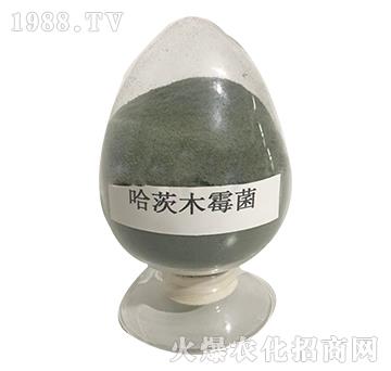 哈茨木霉菌-益昊生物