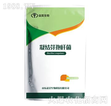 凝結(jié)芽孢桿菌-益昊生物