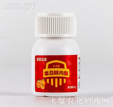 ����֦��(n��i)֬-ǧ���䣨20g��-�h(yu��n)Ҋ���_(d��)-�ЙC(j��)�����S