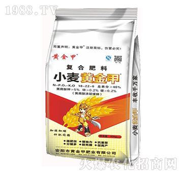 復合肥料18-22-0-小麥黃金鉀-黃金鉀