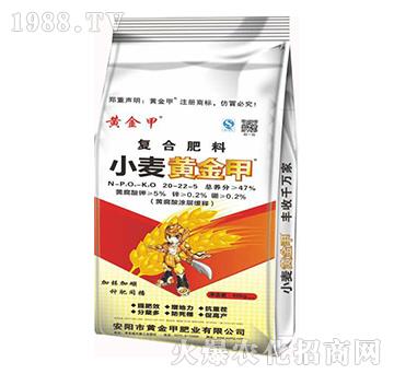 復合肥料20-22-5-小麥黃金鉀-黃金鉀