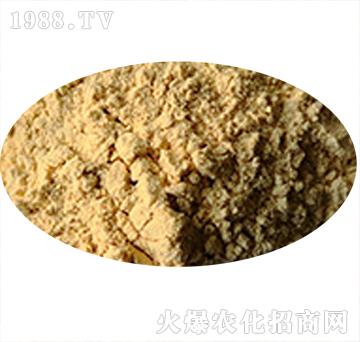 聚谷氨酸-肽和生物