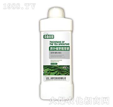 茶葉催芽增厚素-壹畝良田