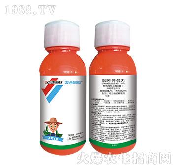 30%���ס�ݬ������-�ѺϹ��z-�����Ѻ�