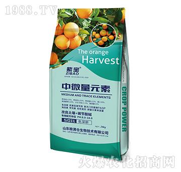 ��΢��Ԫ��-�Z�M�}