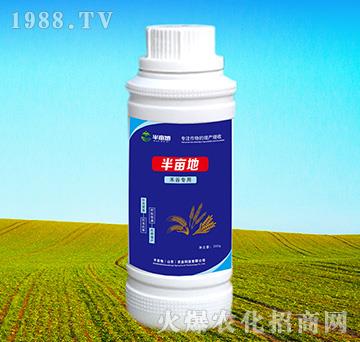 �̹Ȍ����~���-�뮀��