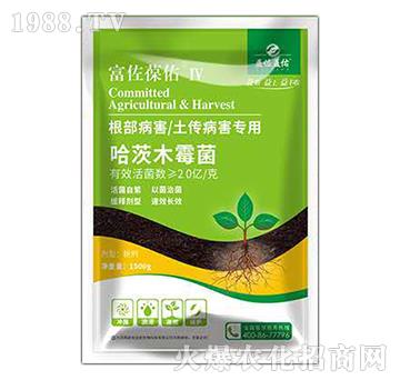 ������������������(zhu��n)��-��������-��������