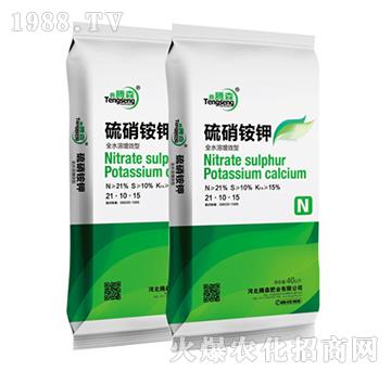 硫硝銨鉀-鑫騰森-騰森肥業(yè)