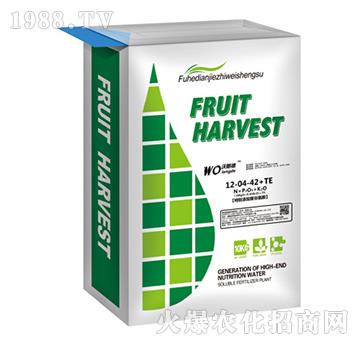 10kg大量元素水溶肥料12-04-42+TE-騰森肥業(yè)