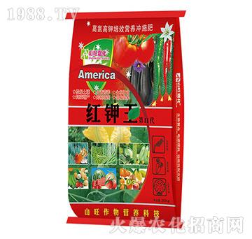 紅鉀王第II代-山旺生物