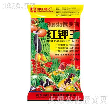 紅鉀王-山旺生物