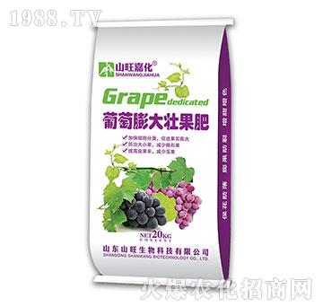 葡萄膨大壯果肥-山旺生物