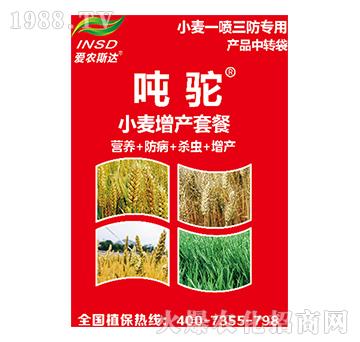 小麥增產(chǎn)套餐-噸駝-愛農(nóng)斯達(dá)