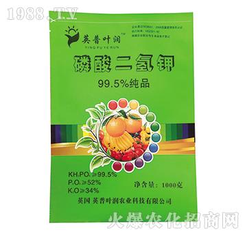 99.5%磷酸二氫鉀-英普葉潤